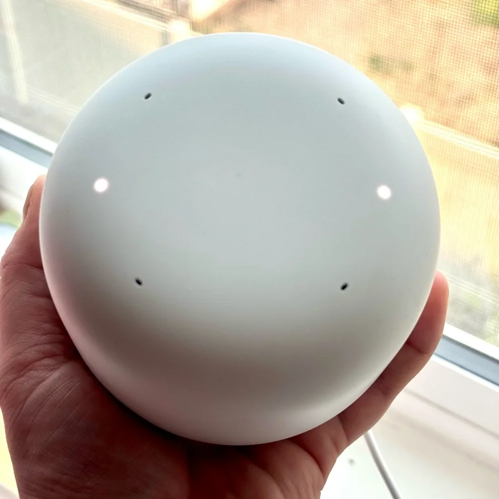 Google nest router